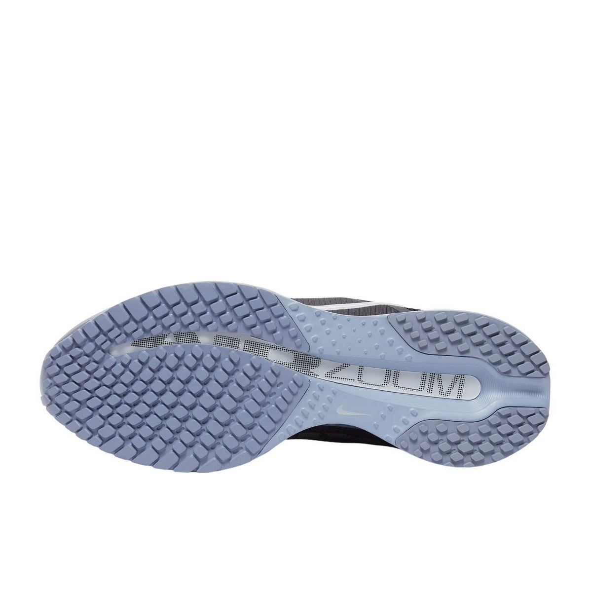 Nike Pegasus Premium Anthracite/Pure Platinum