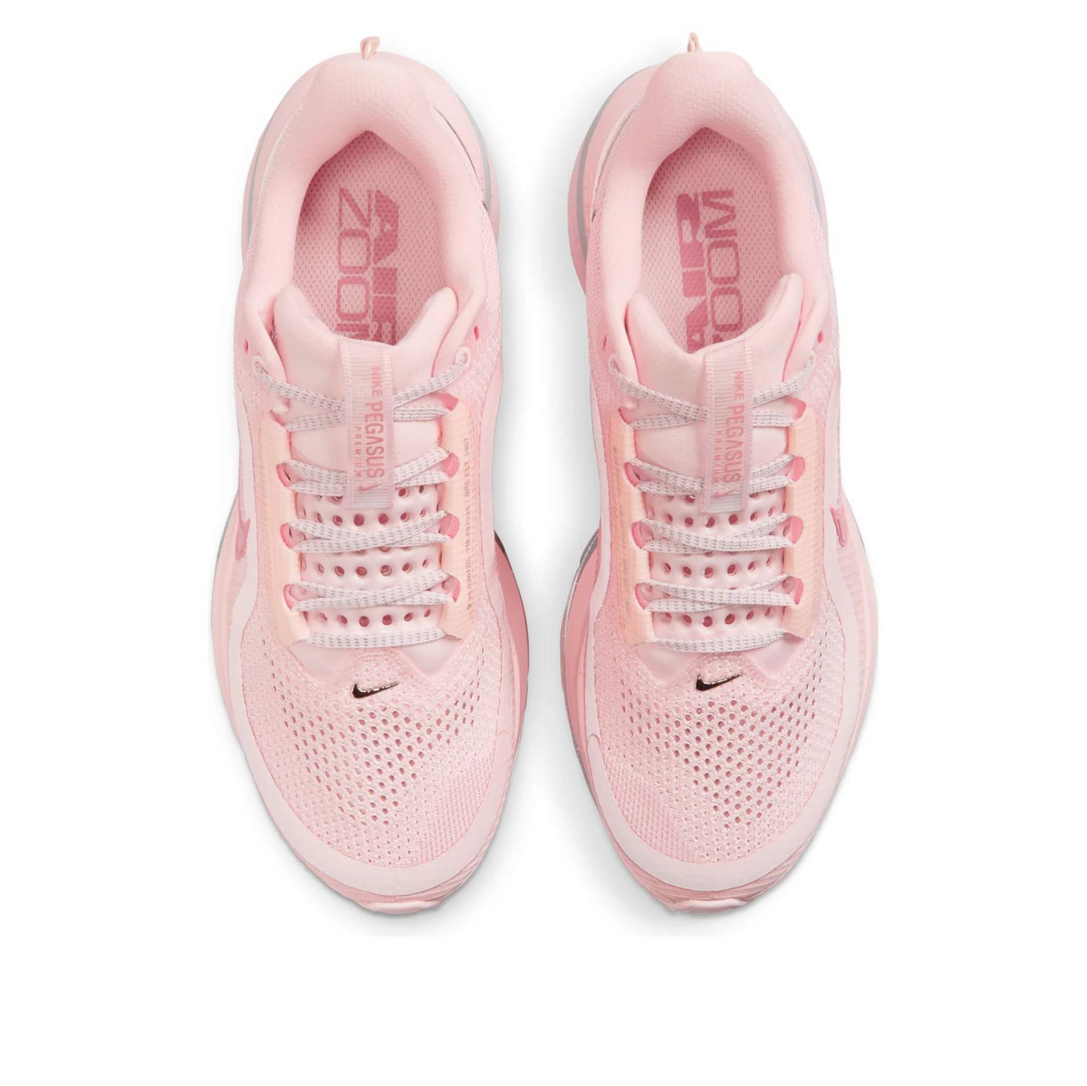 Nike Pegasus Premium Atmosphere