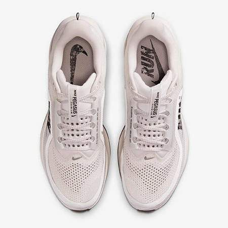 Nike Pegasus Premium Run Platinum Tint